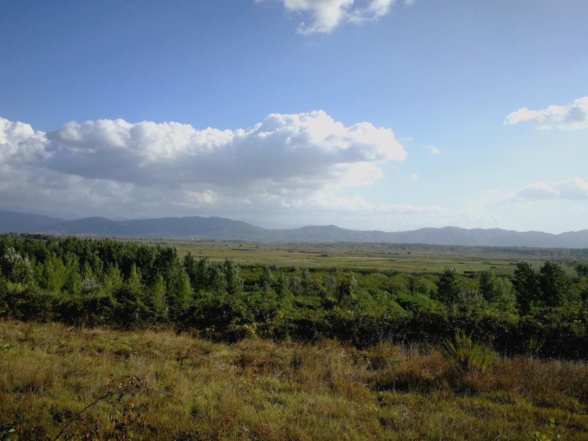 푸체키오 Az.Agricola Agriturismo La Locanda Di Lann 아파트 외부 사진