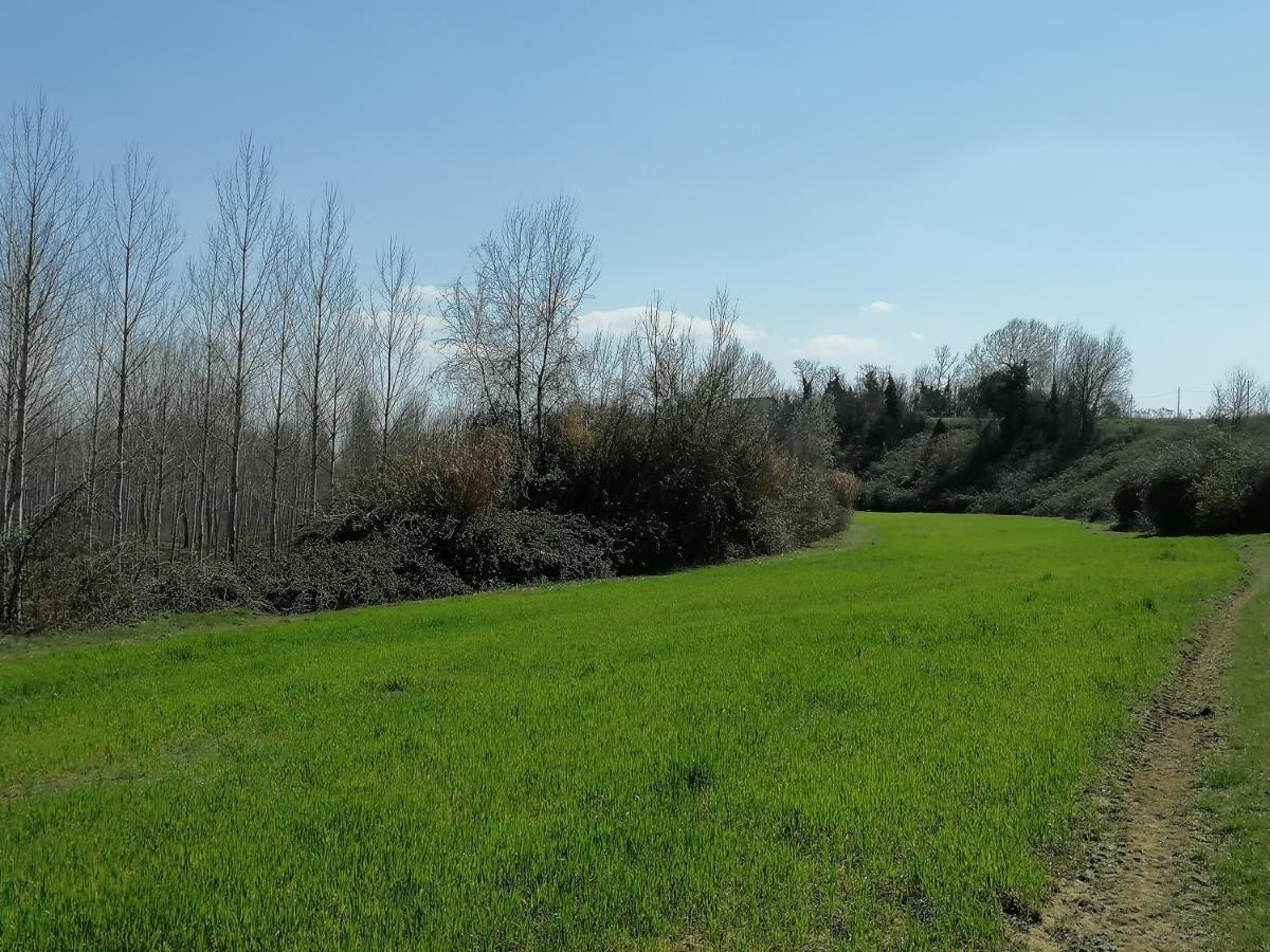 푸체키오 Az.Agricola Agriturismo La Locanda Di Lann 아파트 외부 사진