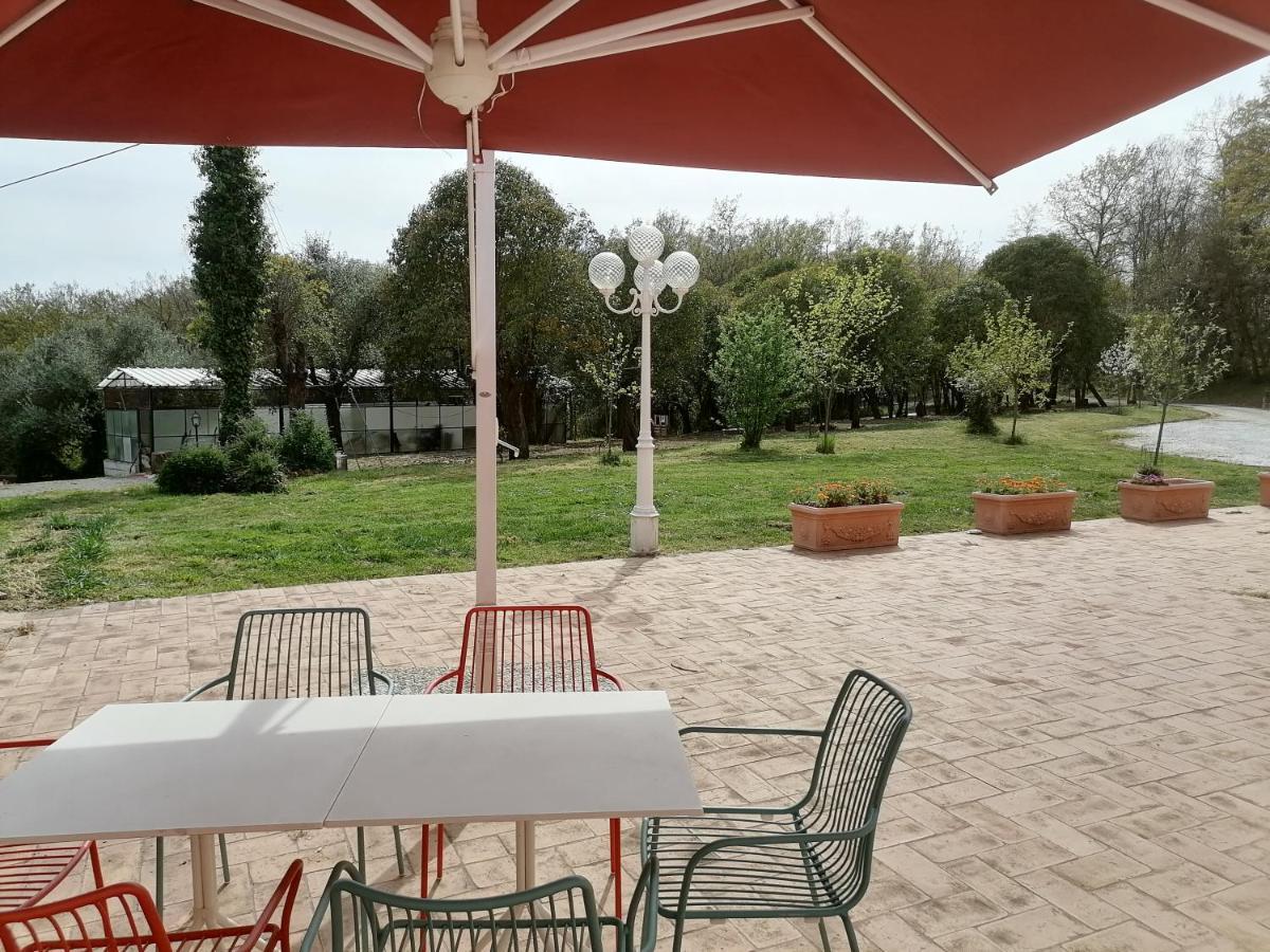 푸체키오 Az.Agricola Agriturismo La Locanda Di Lann 아파트 외부 사진