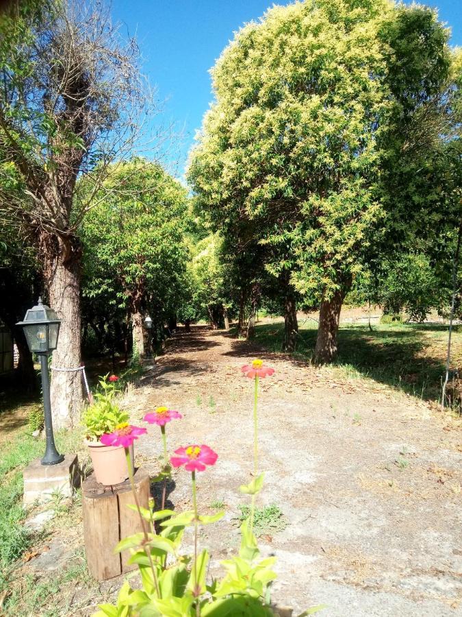 푸체키오 Az.Agricola Agriturismo La Locanda Di Lann 아파트 외부 사진