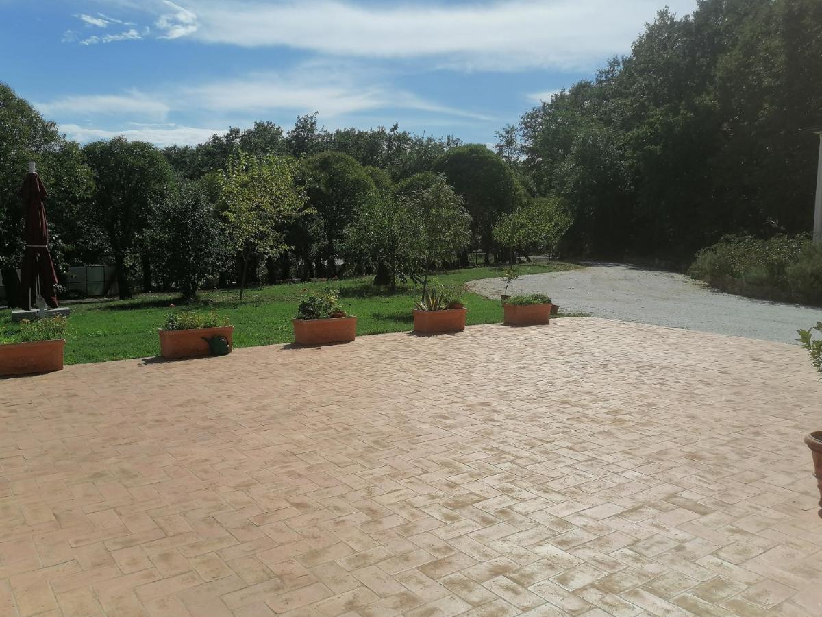 푸체키오 Az.Agricola Agriturismo La Locanda Di Lann 아파트 외부 사진