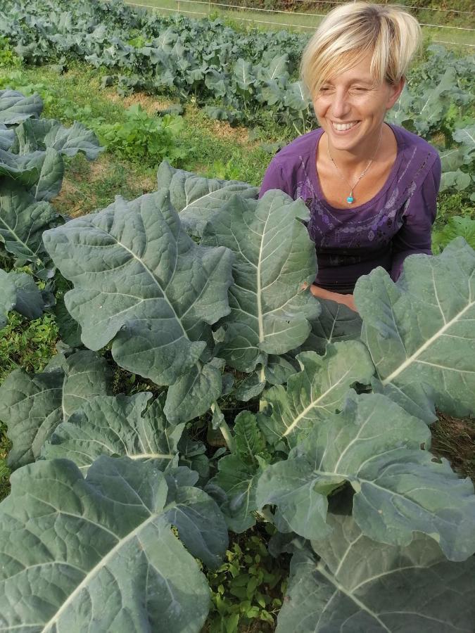 푸체키오 Az.Agricola Agriturismo La Locanda Di Lann 아파트 외부 사진