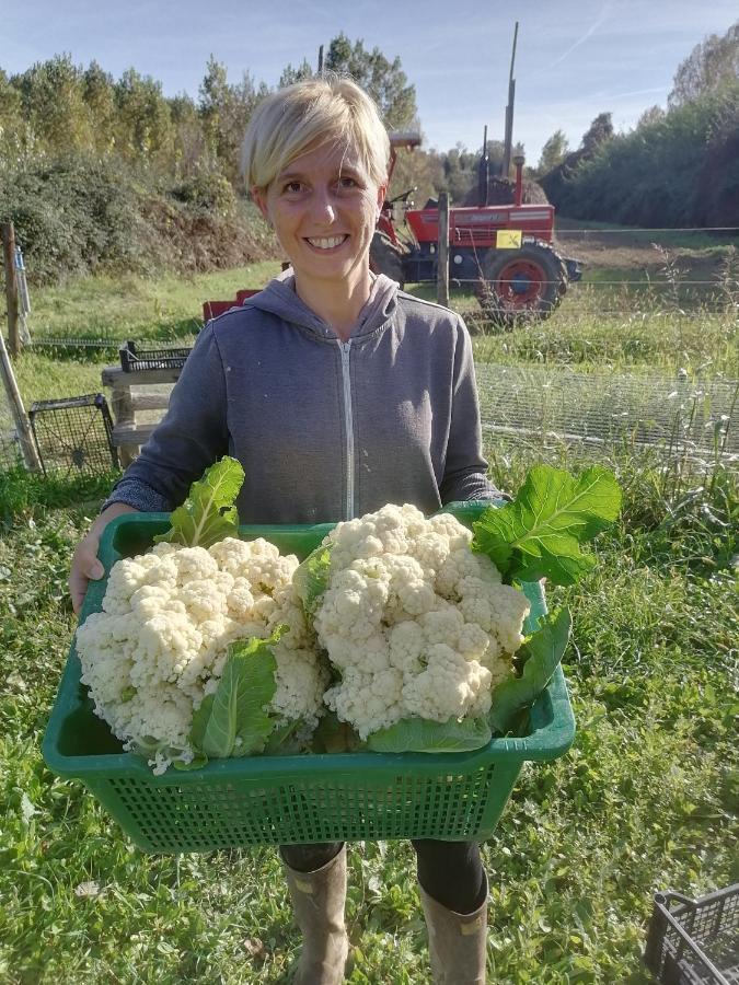 푸체키오 Az.Agricola Agriturismo La Locanda Di Lann 아파트 외부 사진