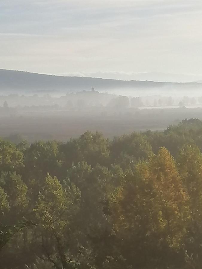 푸체키오 Az.Agricola Agriturismo La Locanda Di Lann 아파트 외부 사진