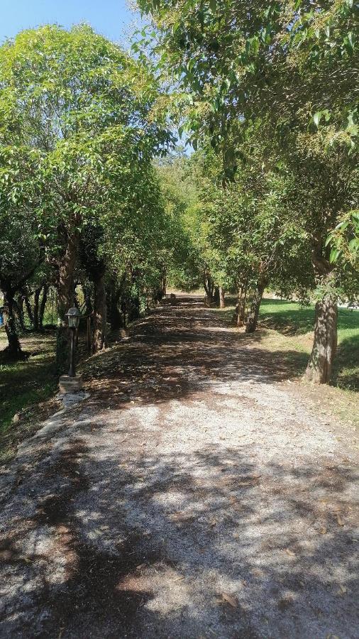 푸체키오 Az.Agricola Agriturismo La Locanda Di Lann 아파트 외부 사진