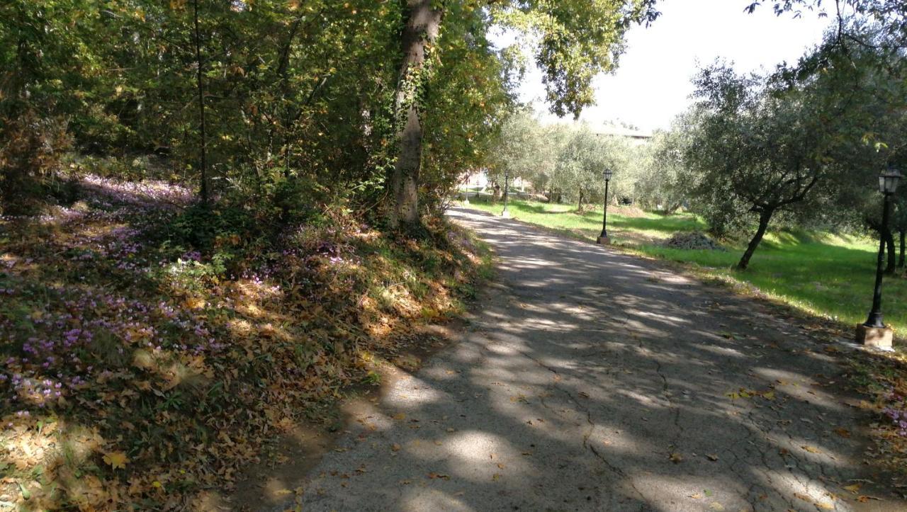 푸체키오 Az.Agricola Agriturismo La Locanda Di Lann 아파트 외부 사진