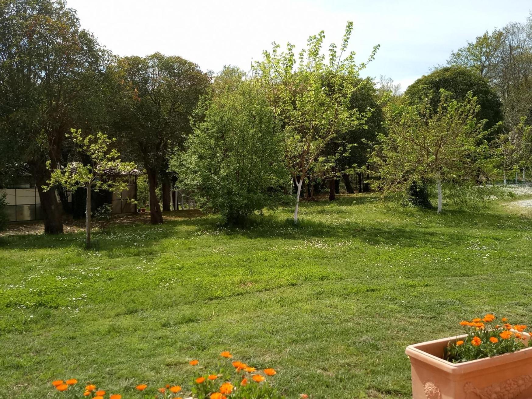 푸체키오 Az.Agricola Agriturismo La Locanda Di Lann 아파트 외부 사진