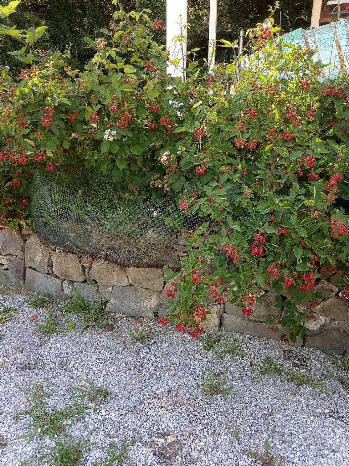 푸체키오 Az.Agricola Agriturismo La Locanda Di Lann 아파트 외부 사진